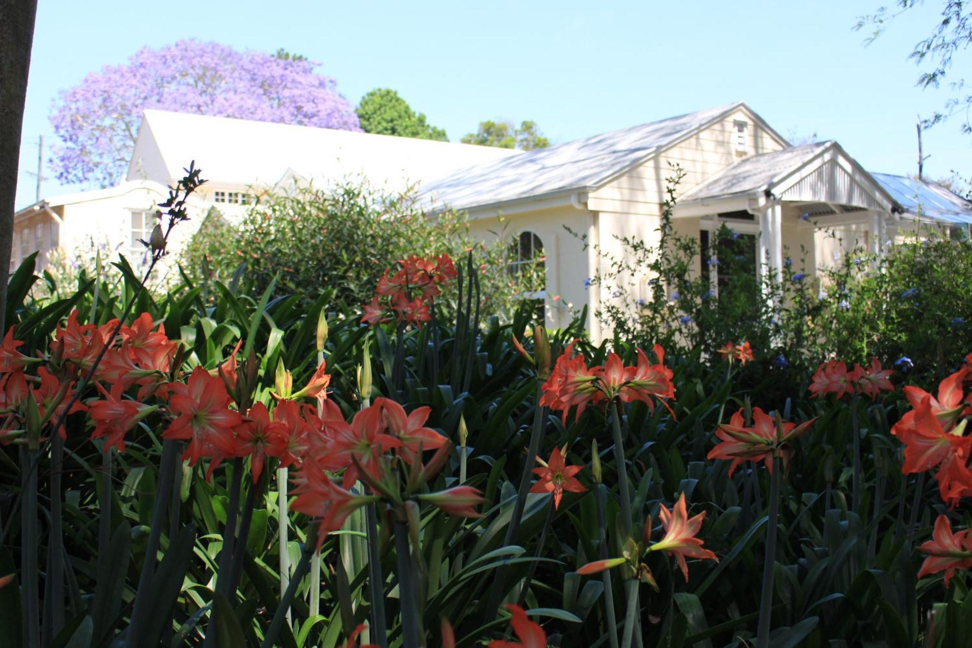 WinterGreen Manor at Maleny Buitenkant foto